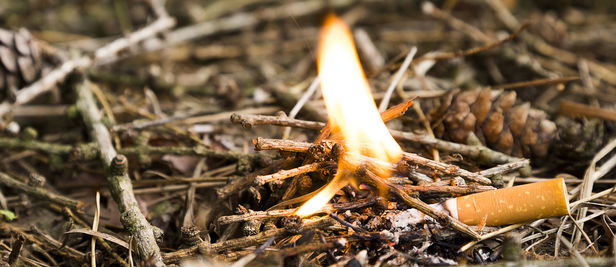 Feuergefahr bei Wutzrock